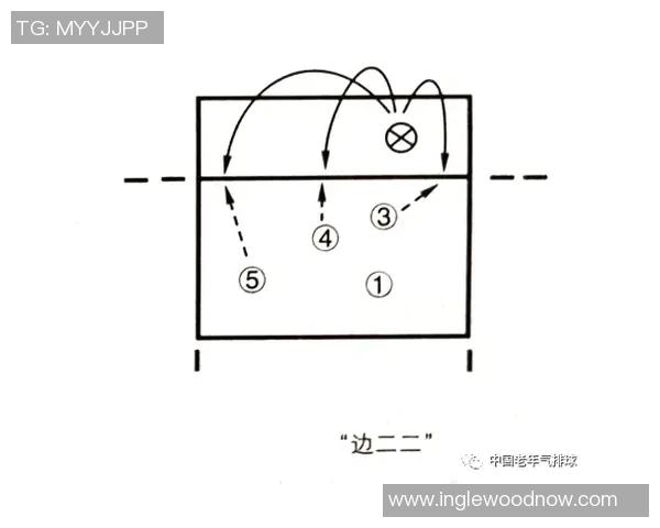 深圳排球队的整体压制打法深度分析与战术解析