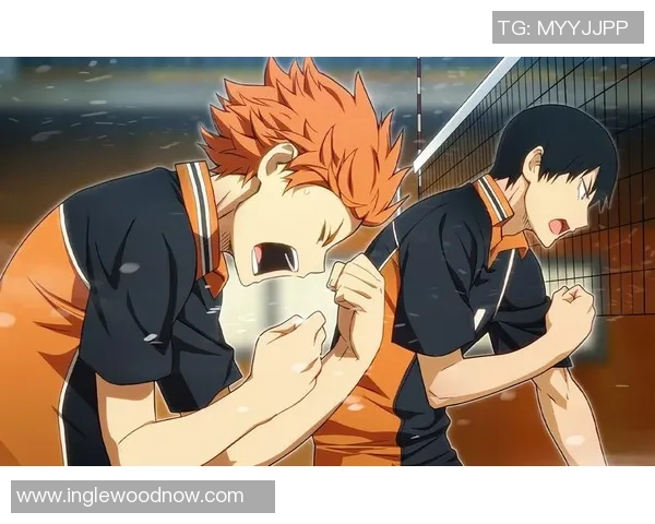 从零开始：排球战术完全攻略