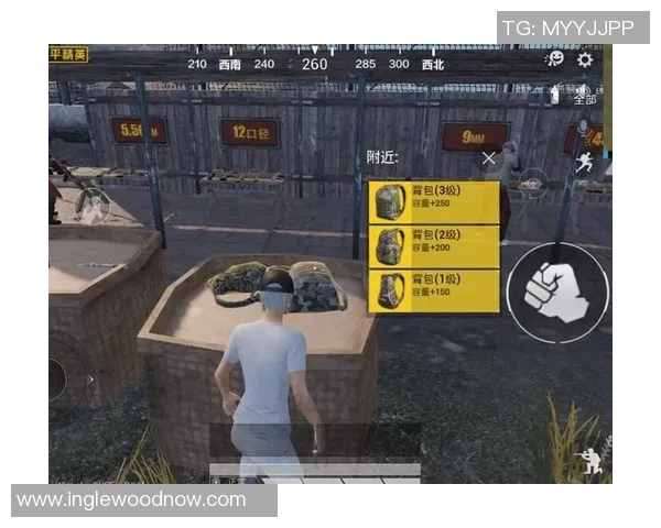 黄娜专访：回顾和平精英历程